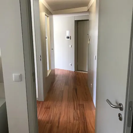 Lux Bolhão - Included *